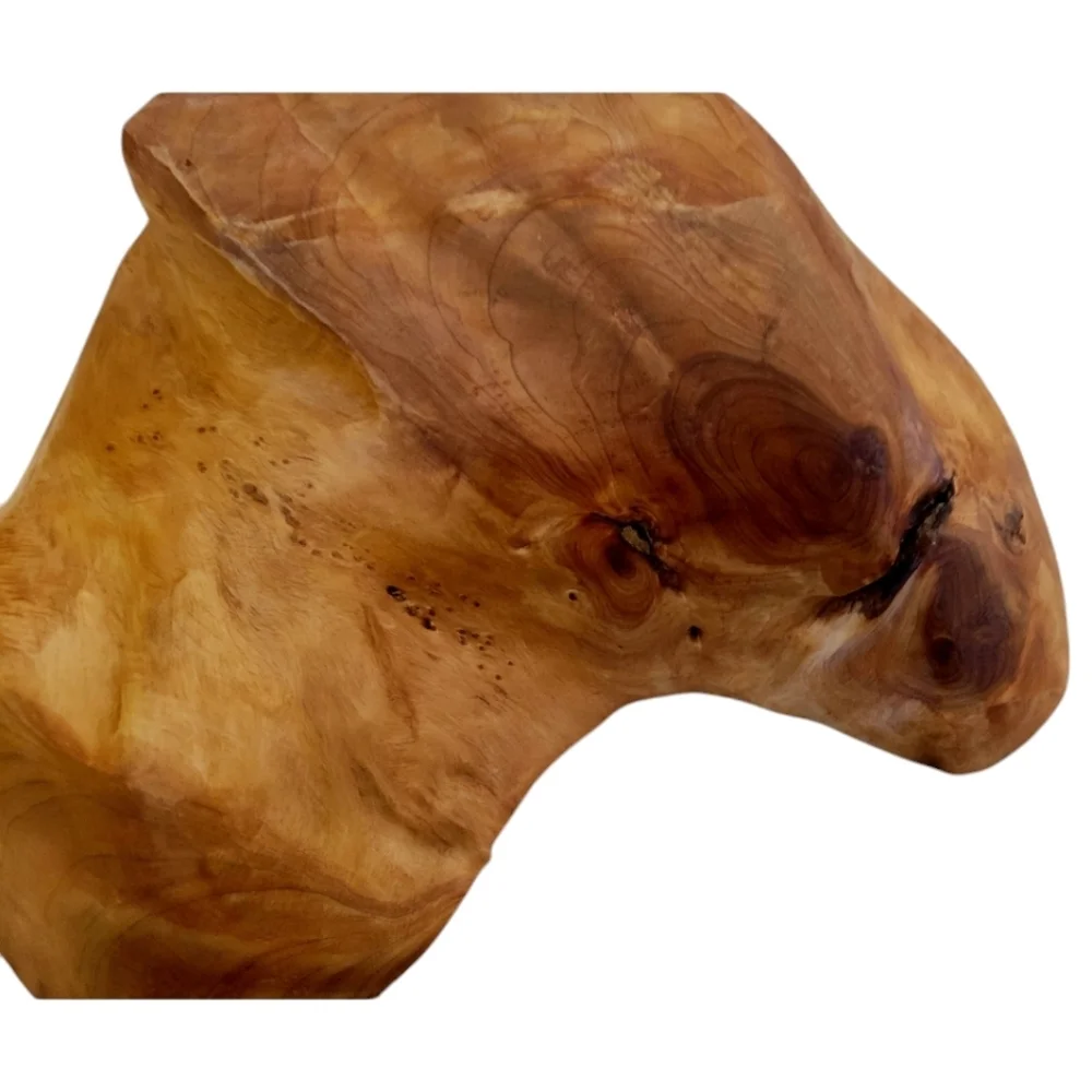 Burl Wood Tree Root Organic Shaped Bowl Hand Carved Vintage Blonde Wood
